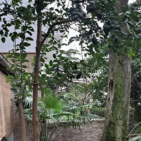 Bamboo Oasis With Terrace In The Garden And Free Parking, * רייקה